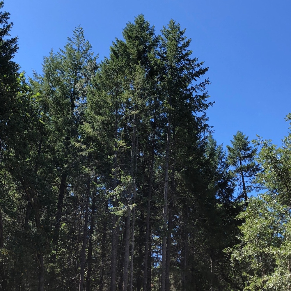 Meet your Posher, Gianna